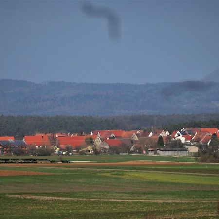 Ferien-Messe-Handwerkerwohnung-Haustiere Willkommen Lauf an der Pegnitz Exteriör bild